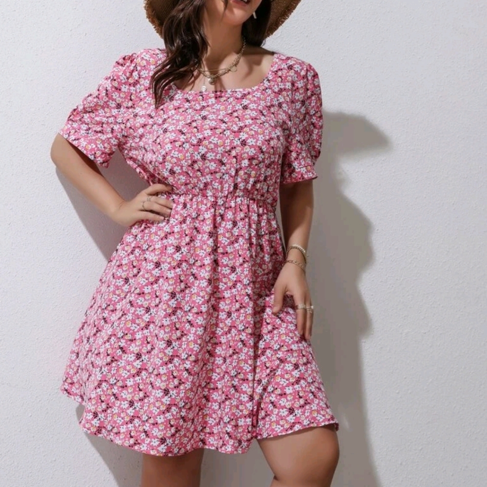 Ditsy Floral Scoop Neck A-Line Dress 4x